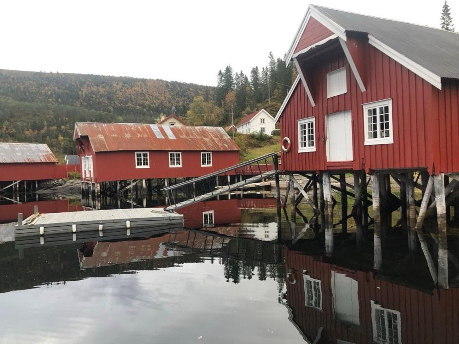 Selgers egne sommerbilder. Galleribilde