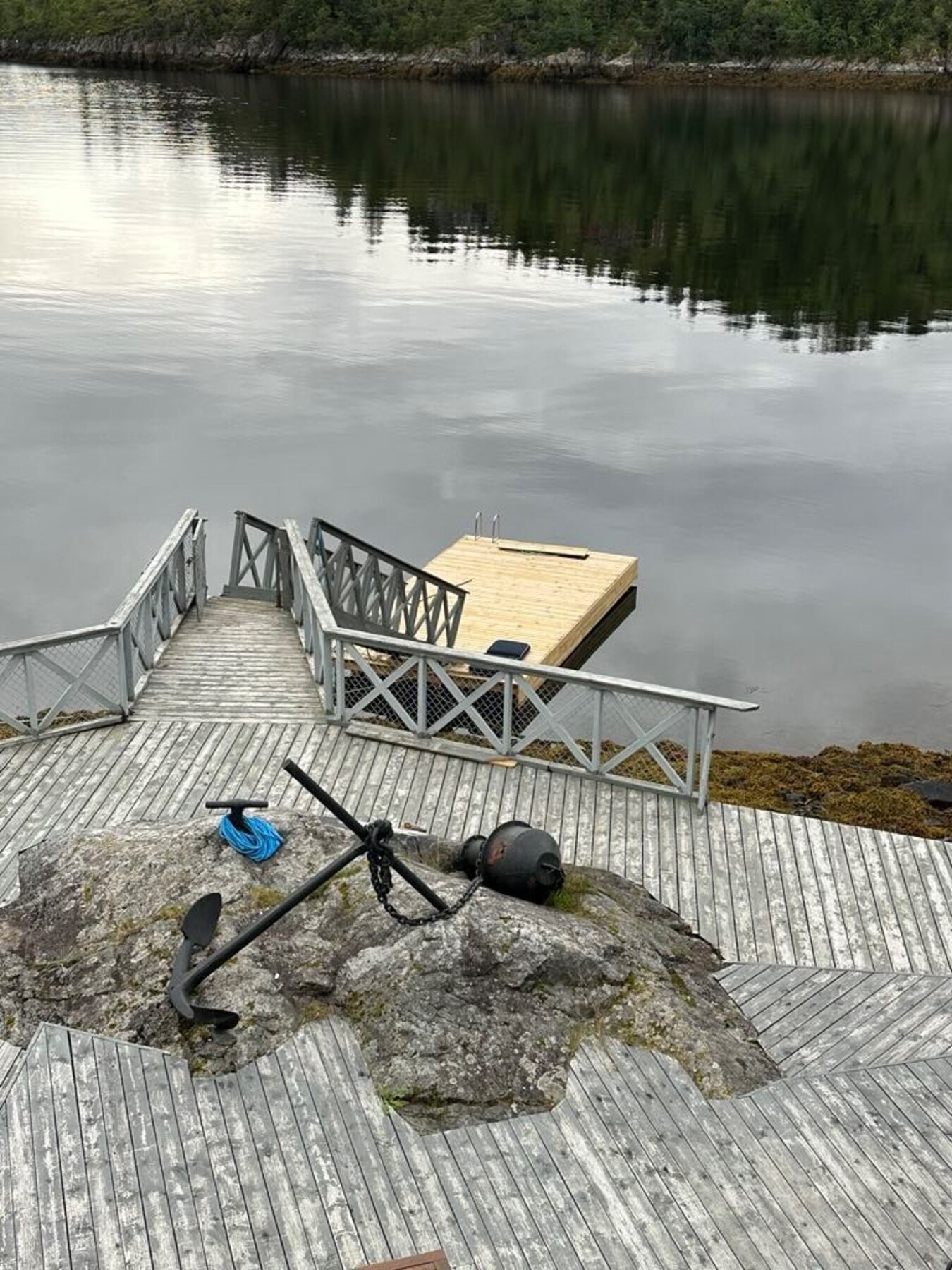 Selgers egne sommerbilder. Galleribilde