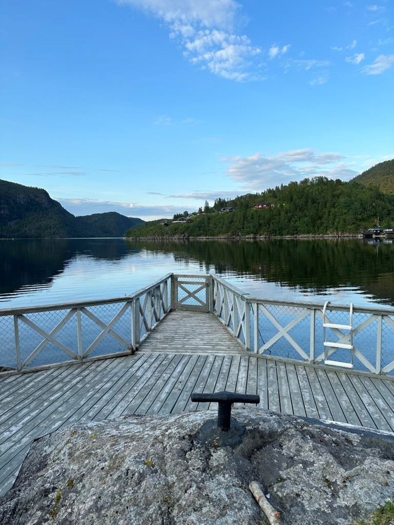 Selgers egne sommerbilder. Galleribilde