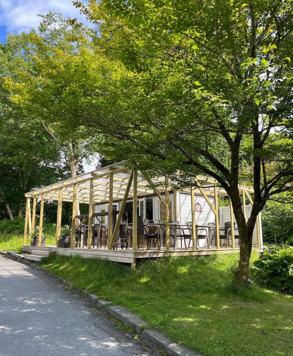 Arboretet på Milde - Her kan du rusle i timesvis - eller bare nyte en kopp kaffe i grønt og blomster. Galleribilde