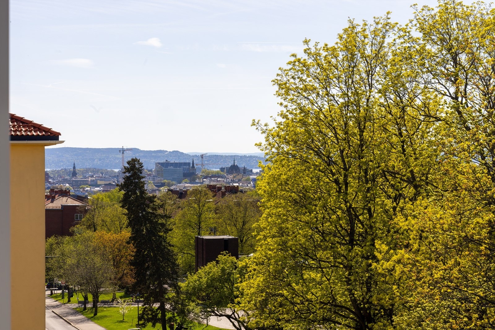 Nyt utsikten mot sentrum og trær fra balkongen! Galleribilde