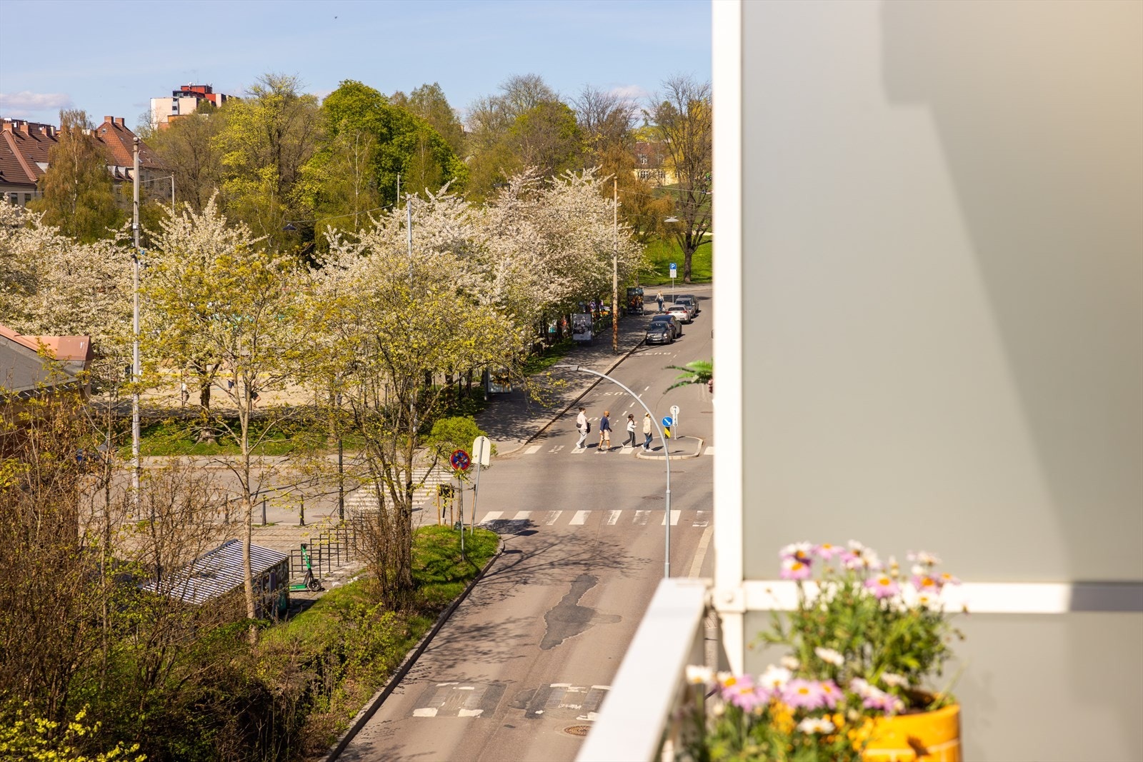 Nyt utsikten mot sentrum og trær fra balkongen! Galleribilde