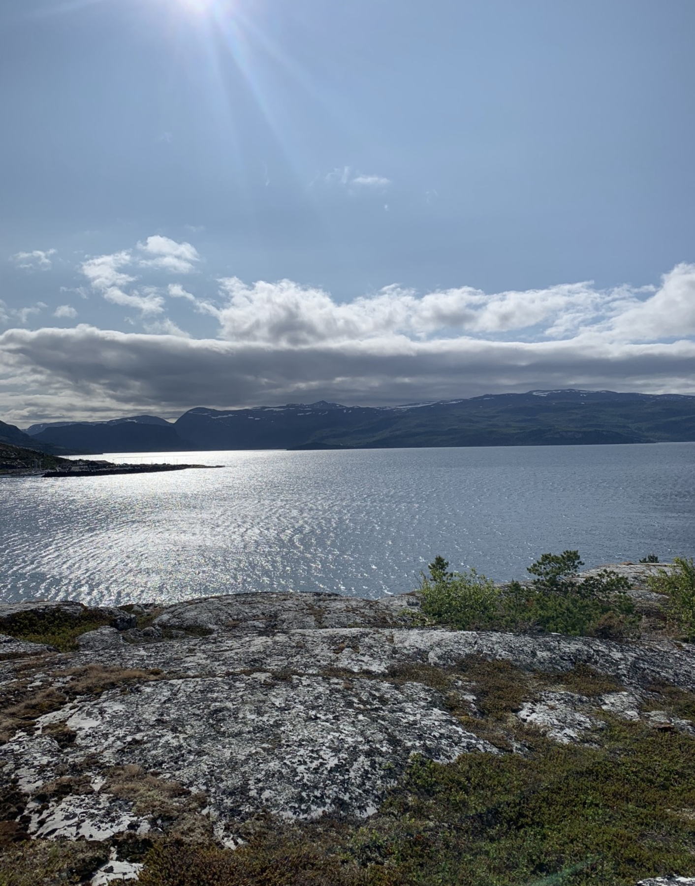 Privat bilde Galleribilde