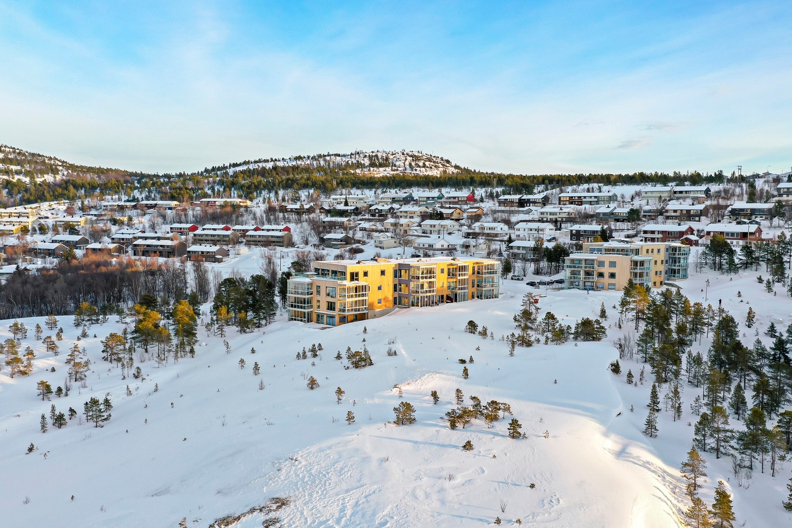Velkommen på visning! Galleribilde