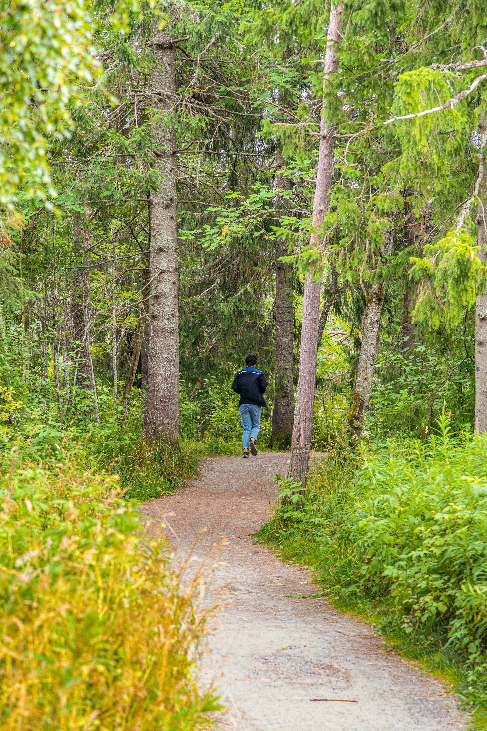 Områder bugner av et enormt stinett som kan innby til flotte naturopplevelser Galleribilde