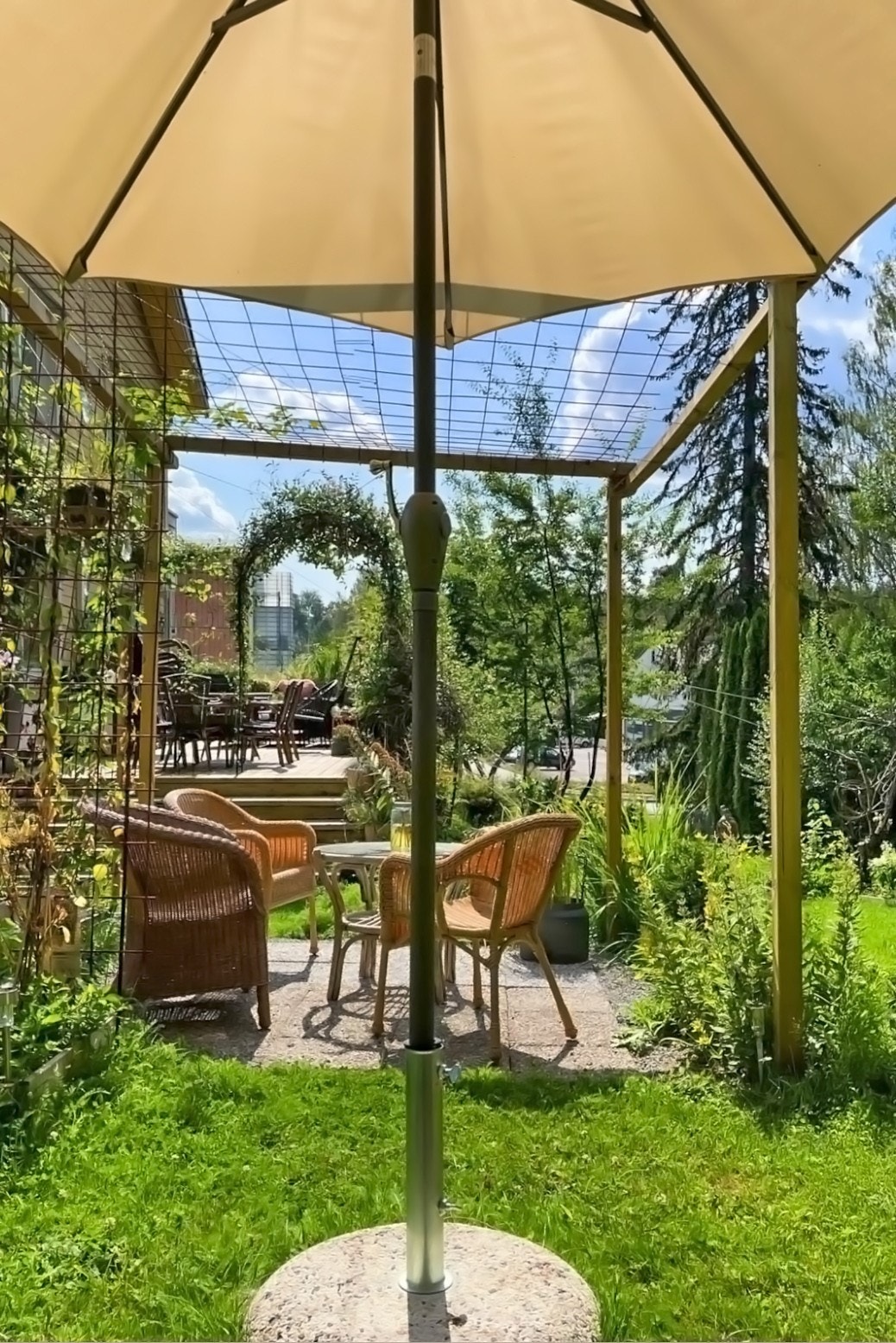 Uteområder med sittegrupper og beplantning. Galleribilde