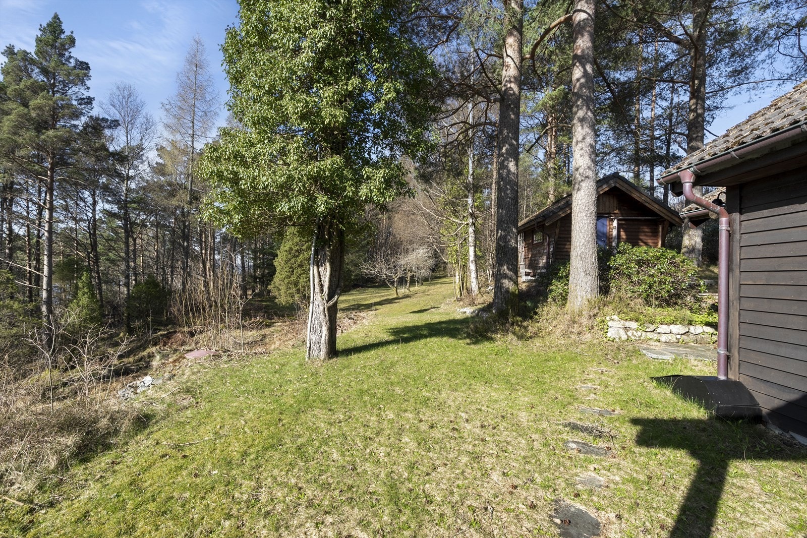 - Romslig hage med god boltreplass for hele familien - Galleribilde