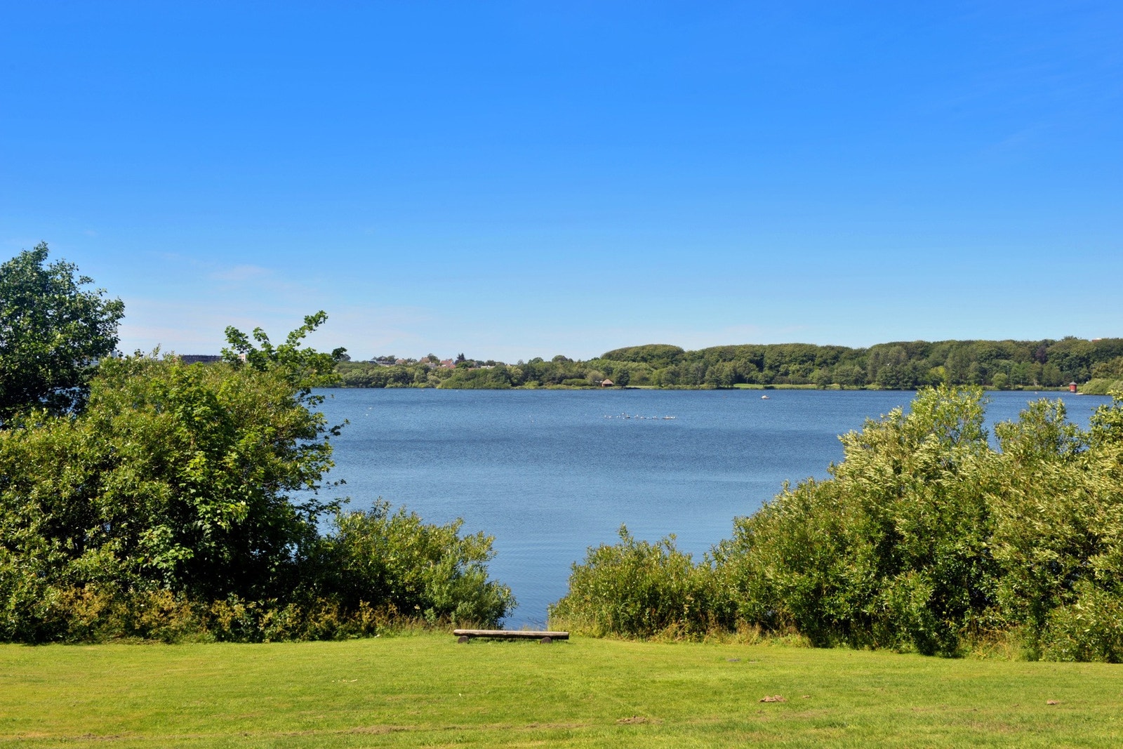 Nydelige turområde like i nærområdet. Galleribilde