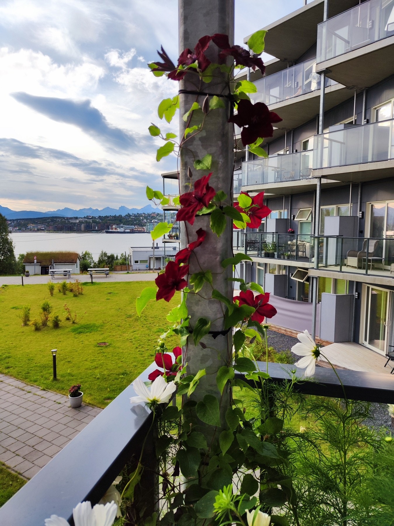 Privat bilde. Galleribilde