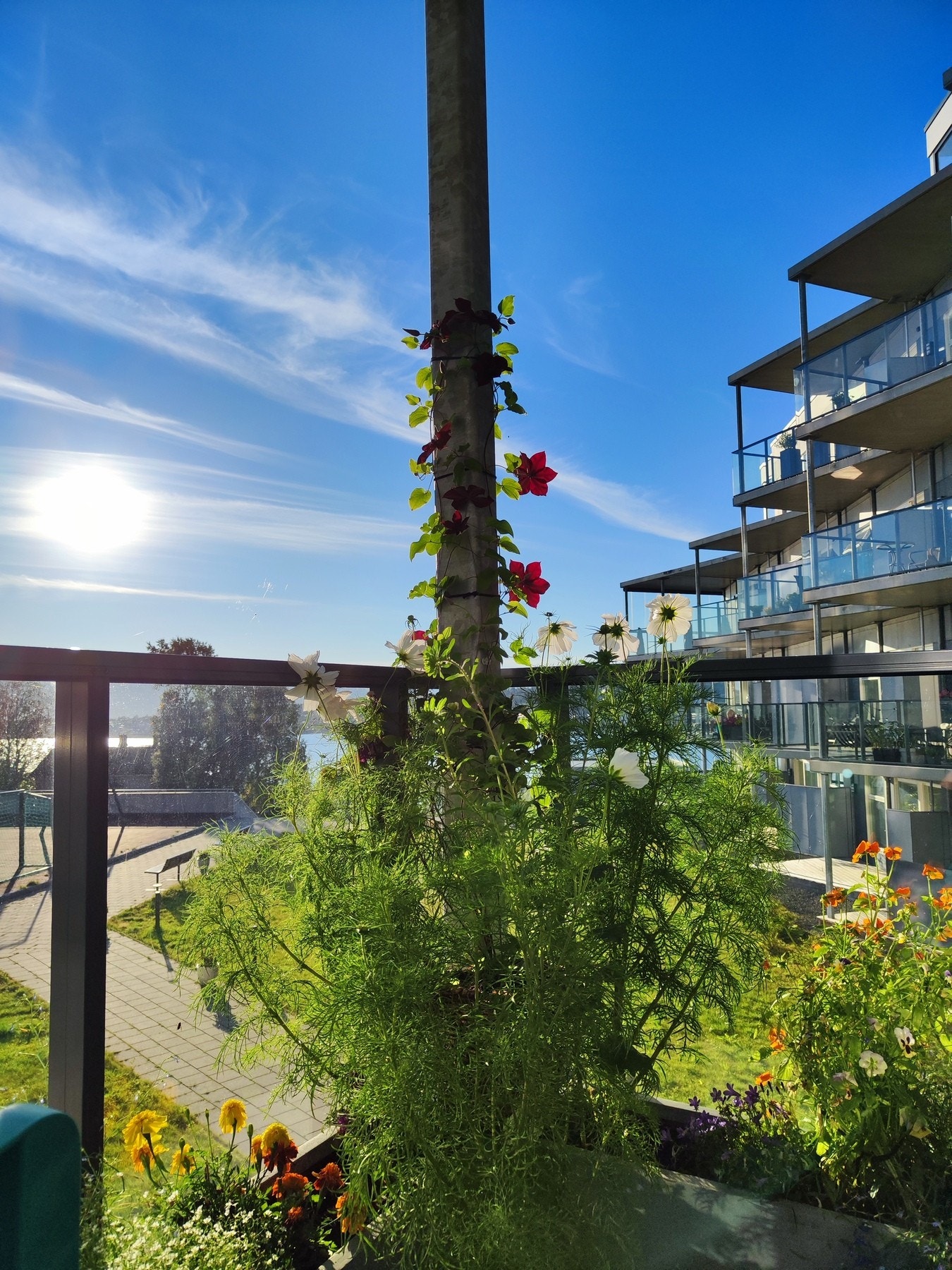 Privat bilde. Galleribilde