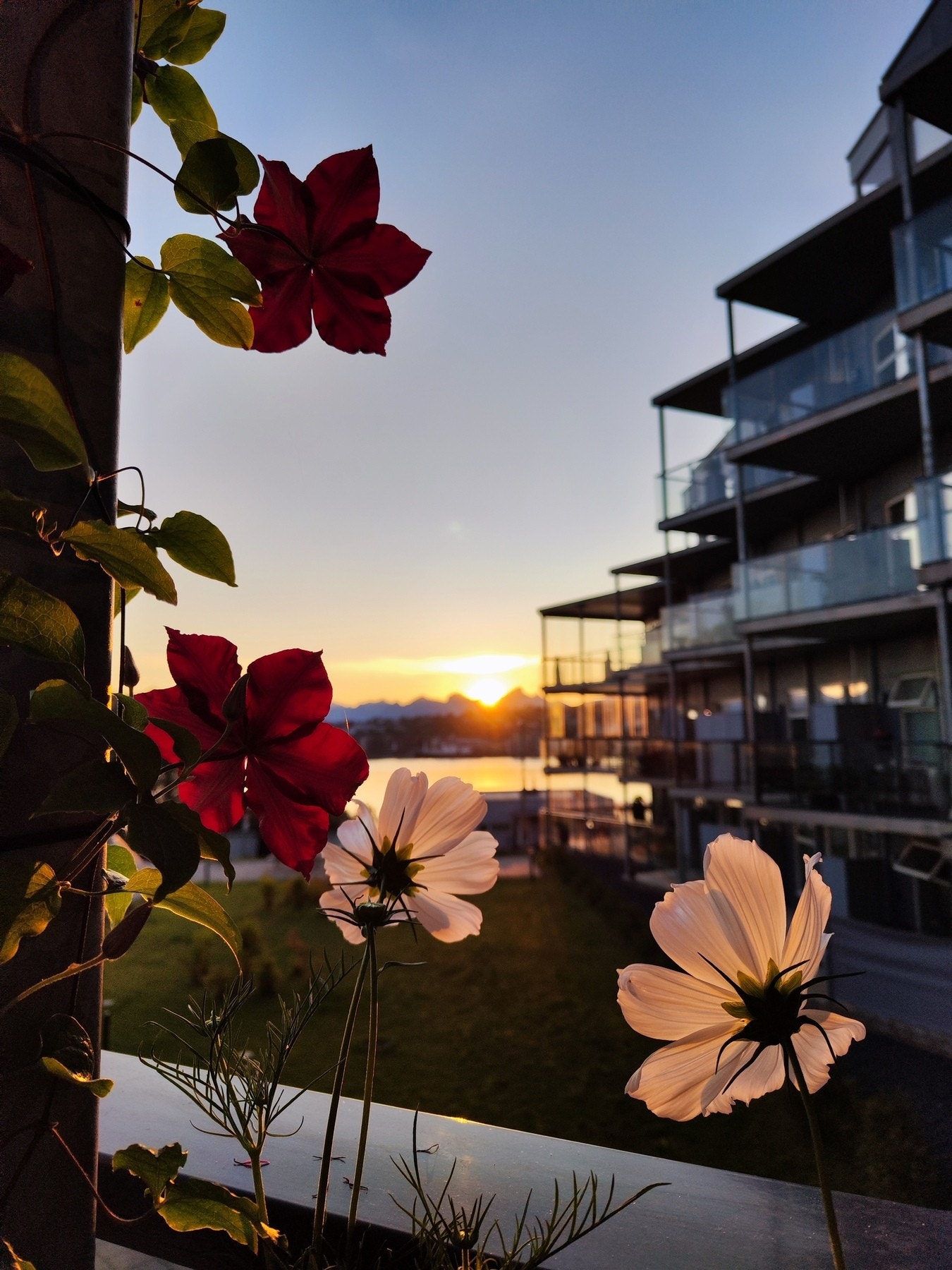 Privat bilde. Galleribilde