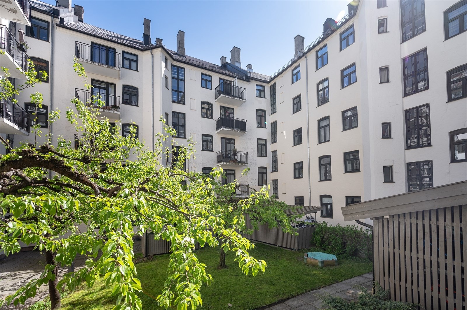 Bakgården er rolig, grønn og frodig. Galleribilde