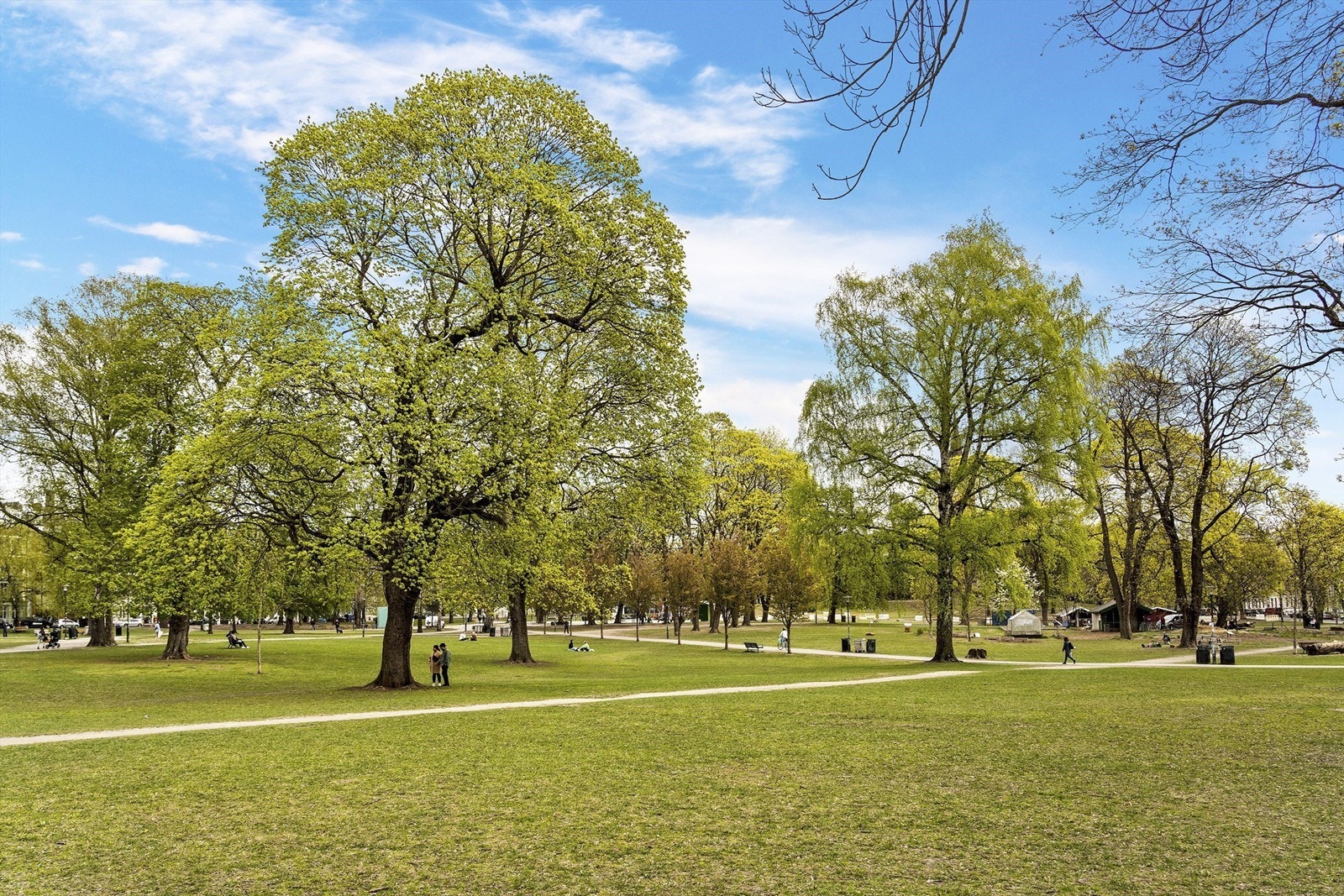 Flere parker like ved, som Sofienbergparken, Olaf Ryes plass og Botanisk hage. Galleribilde