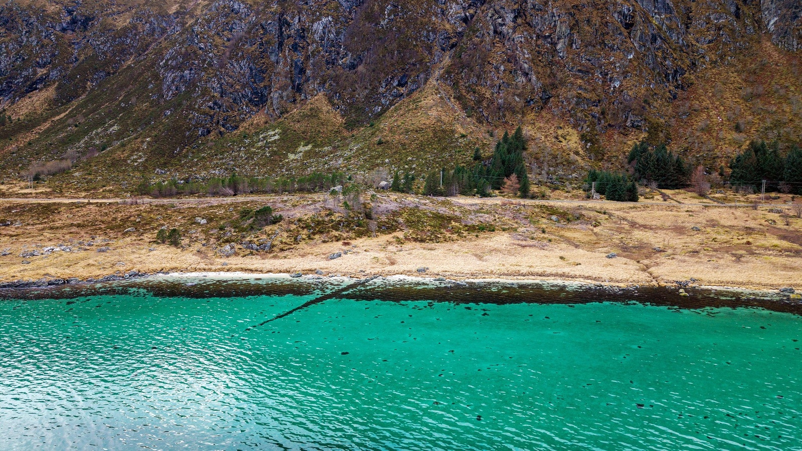 Idyllisk beliggenhet nede ved sjøen. Galleribilde