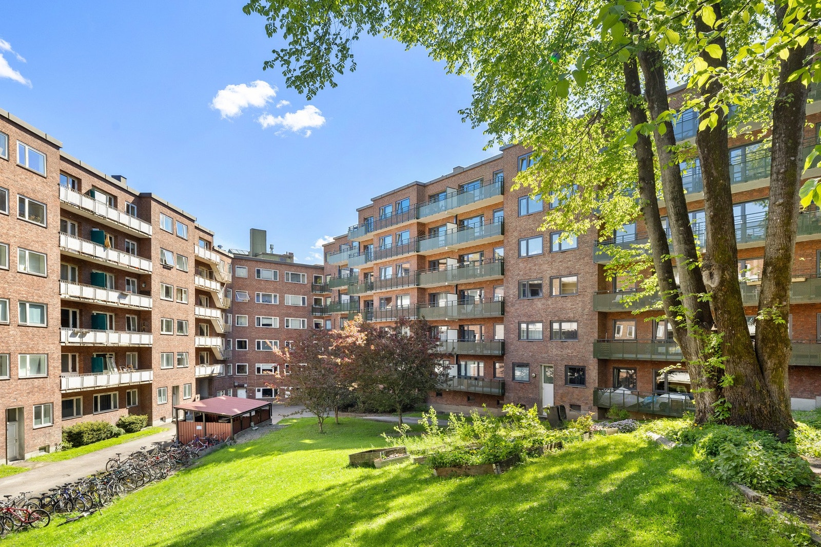 Her ligger alt til rette for å kunne trives. Galleribilde