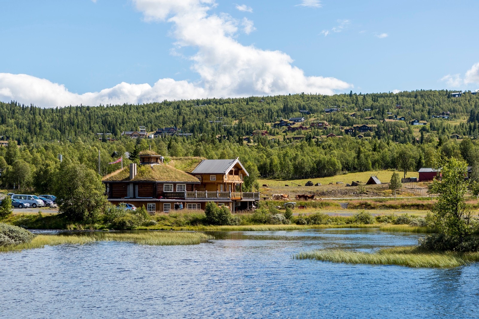 Sekskanten Galleribilde