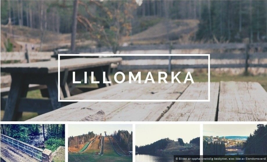 Lillomarka byr på flotte turstier Galleribilde