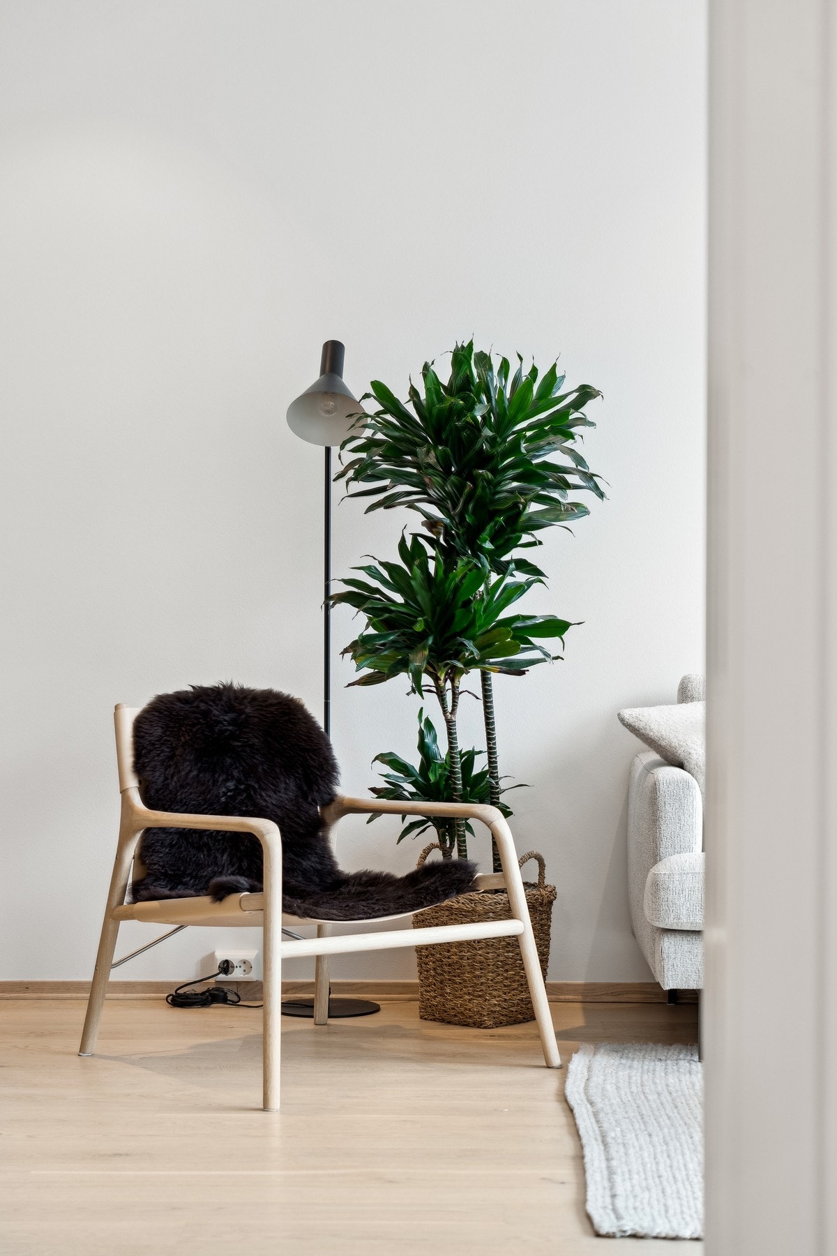 Detaljbilde Galleribilde