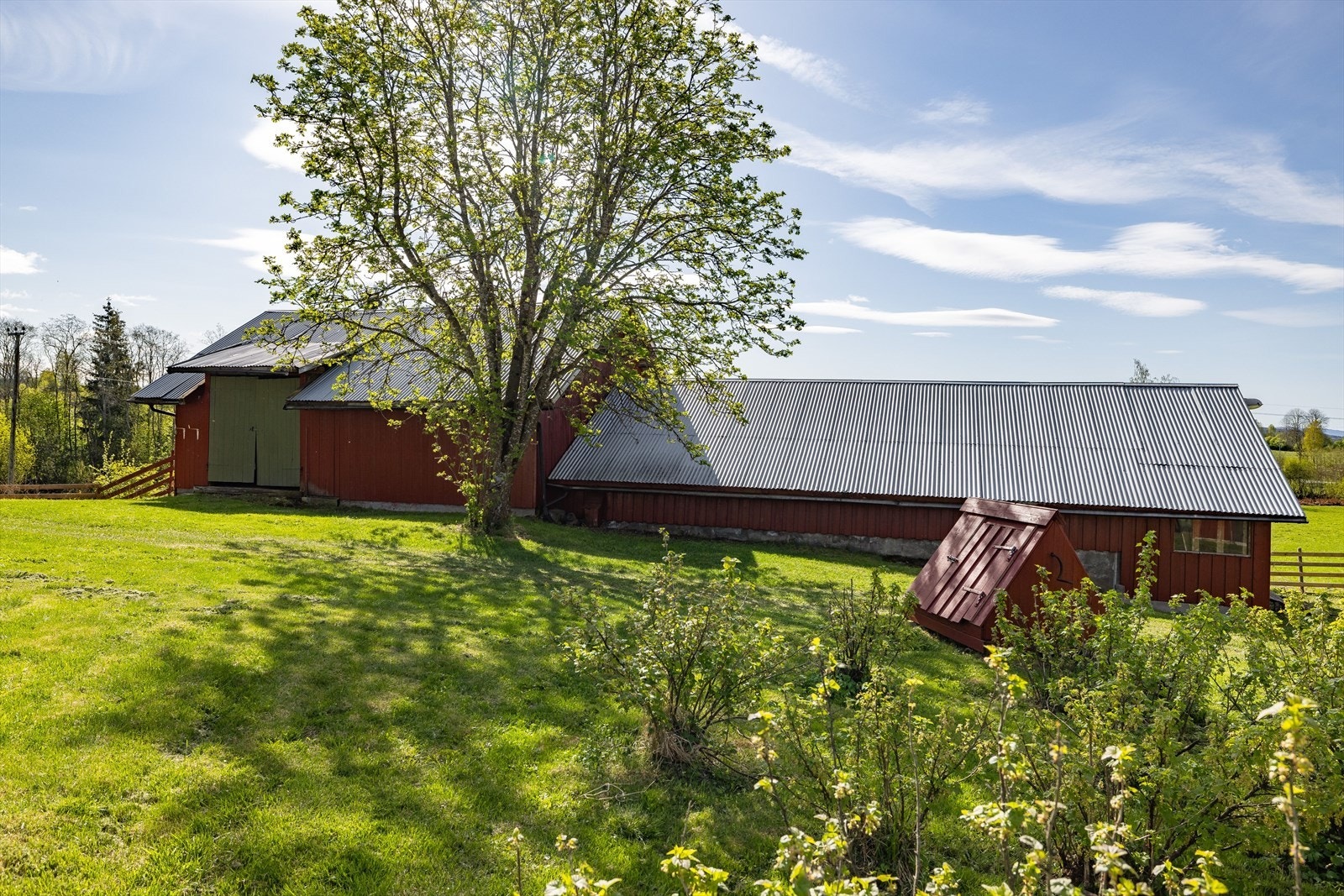 Frodig tun på ca. 2,7 mål. Galleribilde