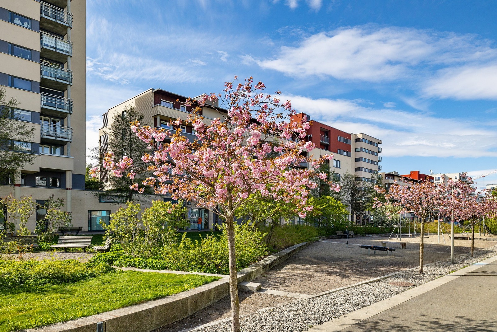 Nærområdet. Galleribilde