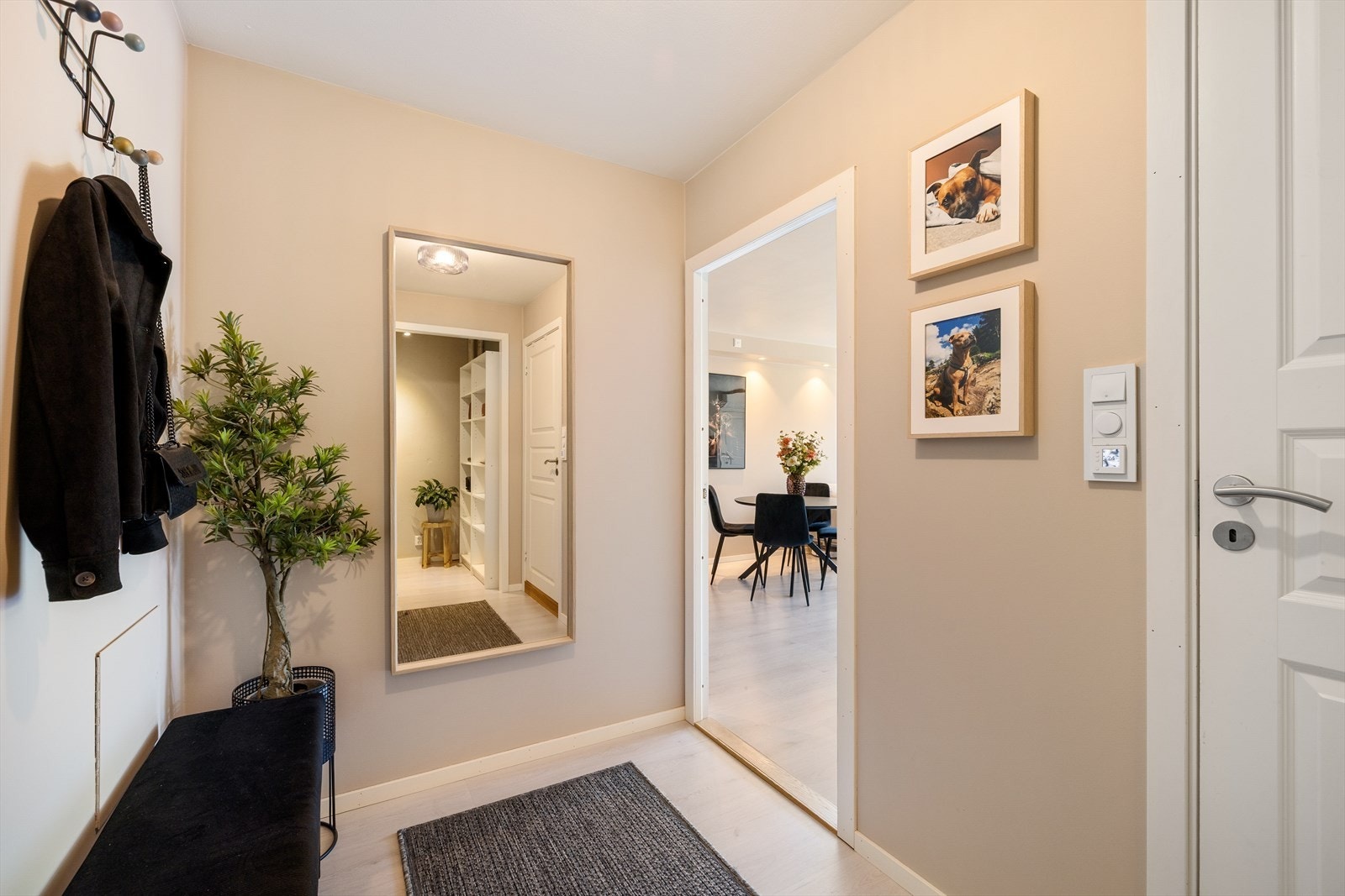 Entre/gang med moderne malte flater og dørcalling-anlegg Galleribilde