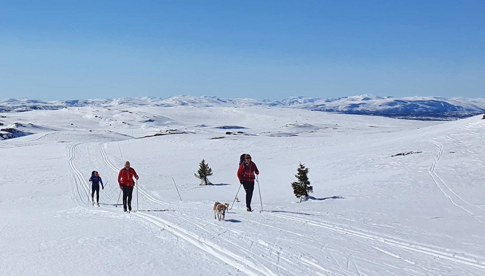 Det er svært mange muligheter for flotte skiturer i velpreparerte løyper, rett utenfor døren. Galleribilde