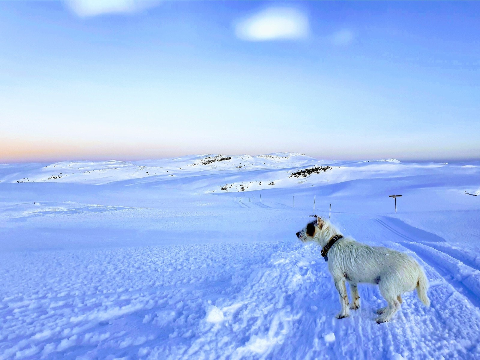Varden er det nyeste hytteområde på Kvitfjells vestside. Galleribilde