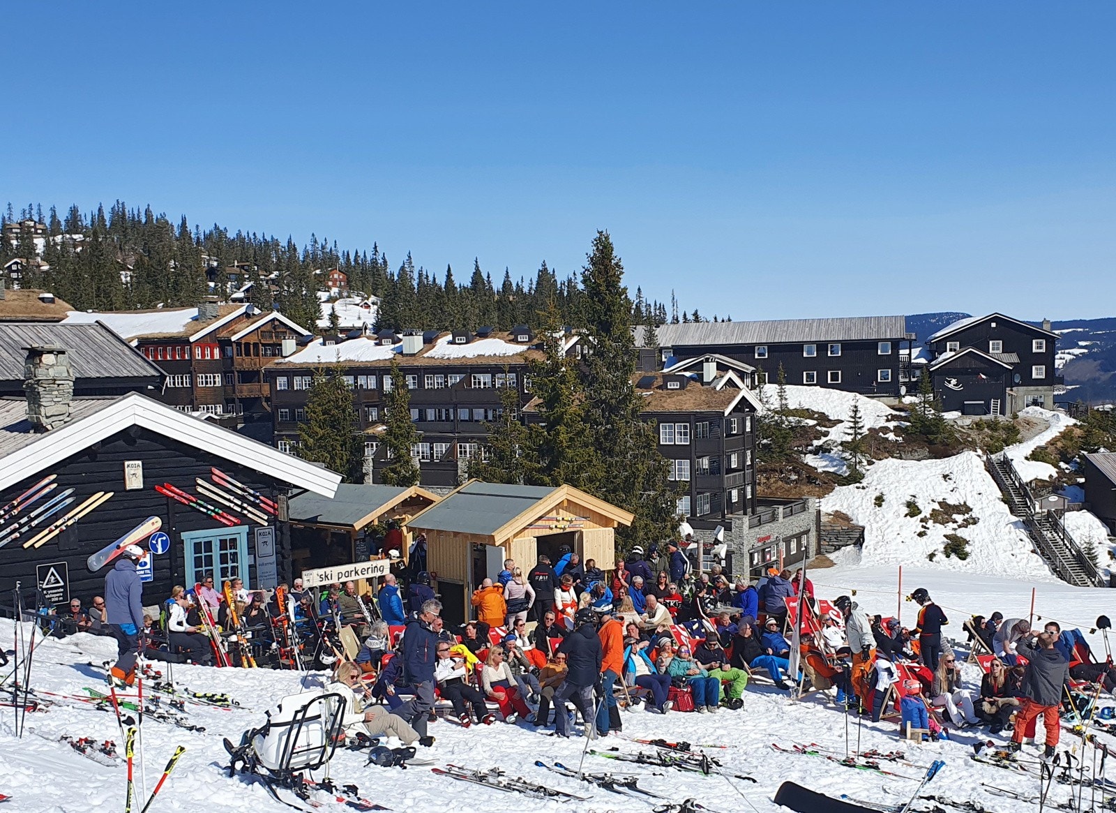 Det er liv og røre utenfor Koia som ligger på Kvitfjells østside. Galleribilde