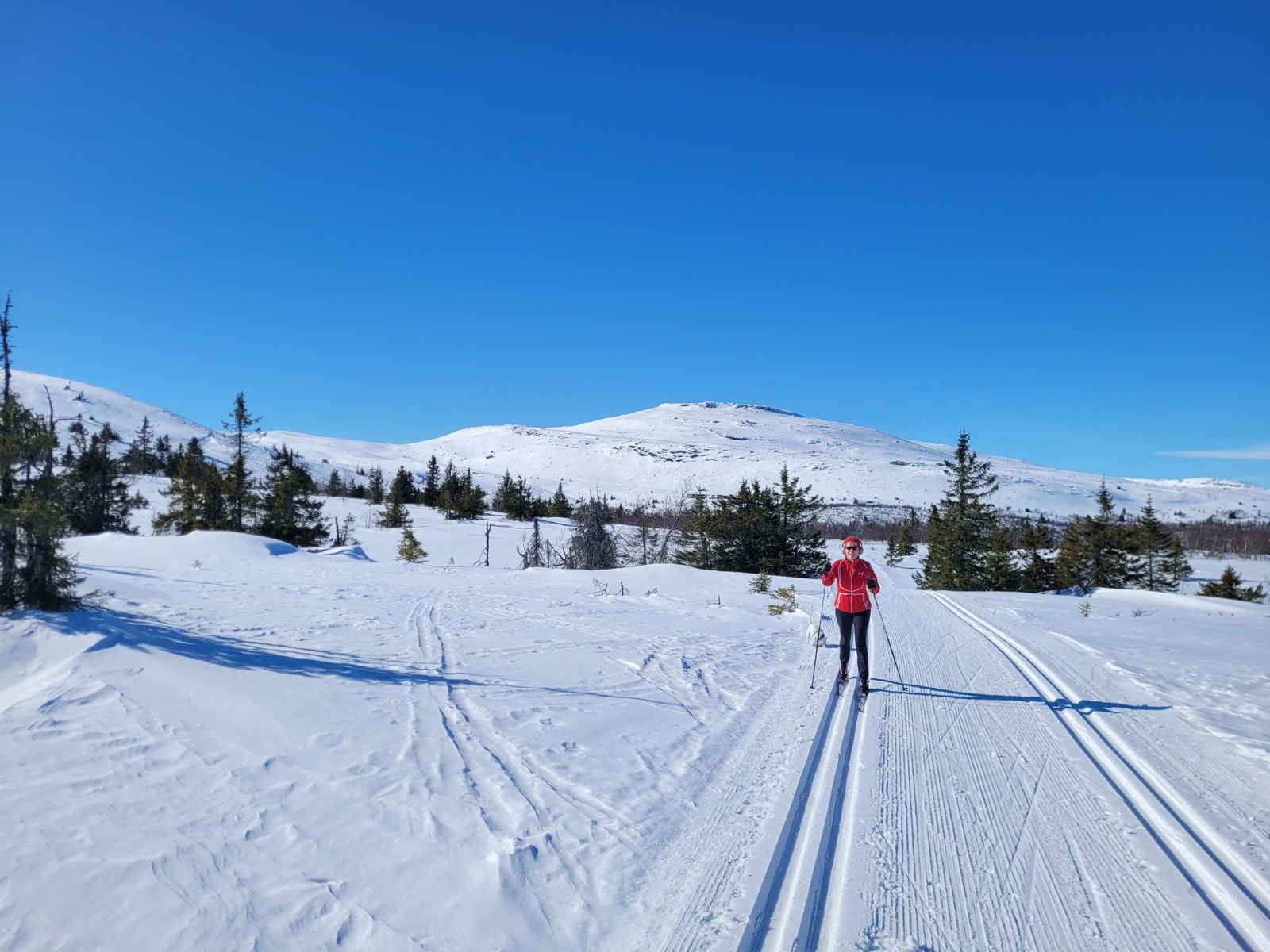 Dette er Kvitfjells tredje fjellside på den mest familievennlige fjellsiden, med brede, flotte grønne og blå løyper. Galleribilde