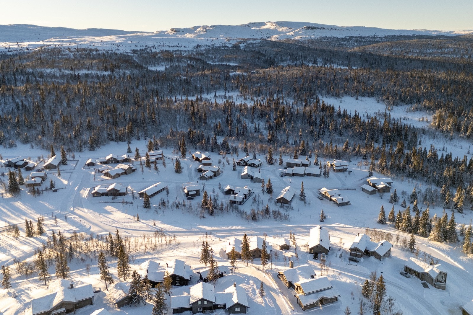 DJI_20250112122211_0309_D Galleribilde