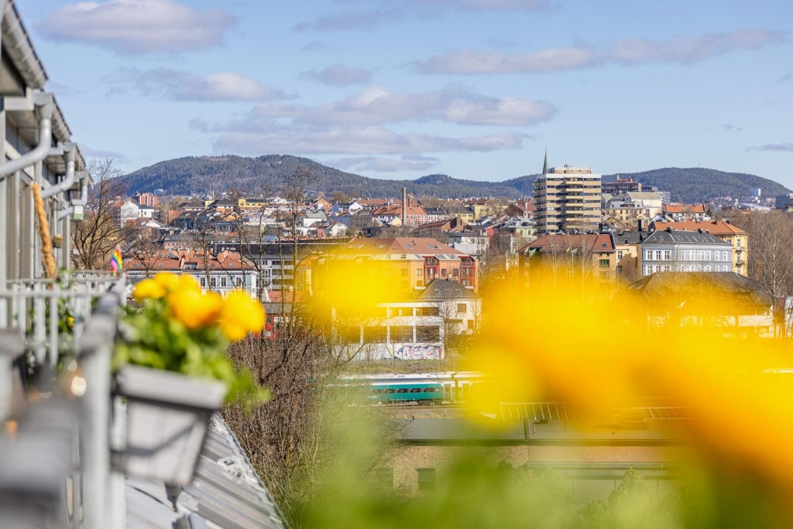Her har man utsikt mot sentrum. Galleribilde