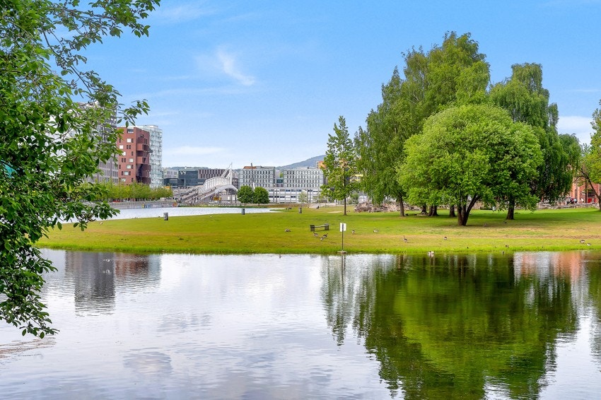 Det er gangavstand til Middelalderparken, hvor du finner historiske Ruinparken. Galleribilde
