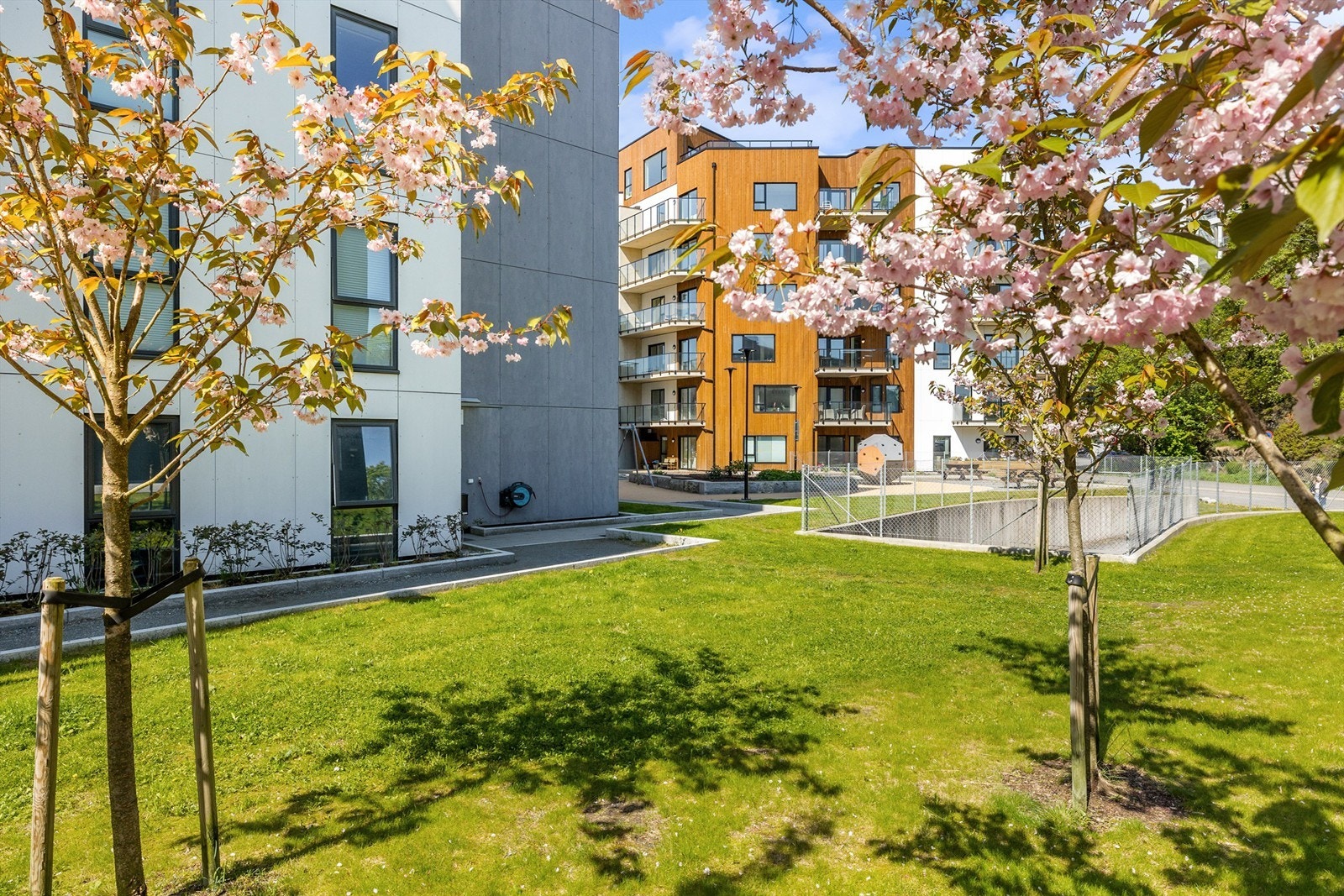 Flotte uteområder. Galleribilde