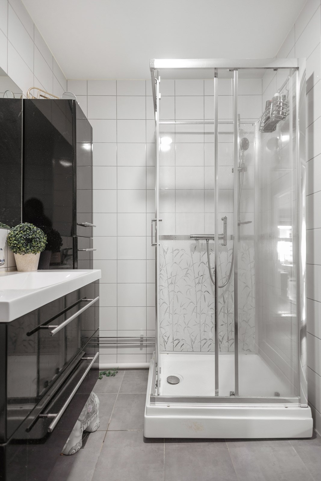 Praktisk med mye oppbevaringsplass og dusjkabinett. Galleribilde