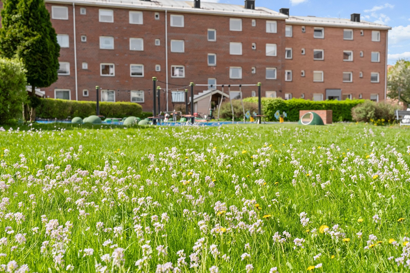 Her bor du i grønne og hyggelige omgivelser Galleribilde