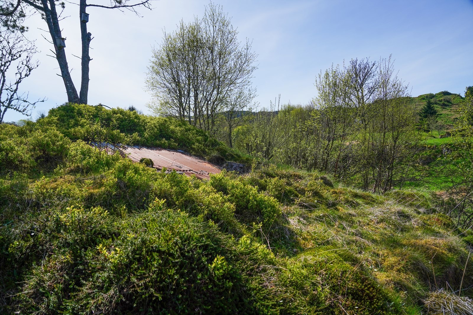 Brønnen fyller seg selv opp. Galleribilde