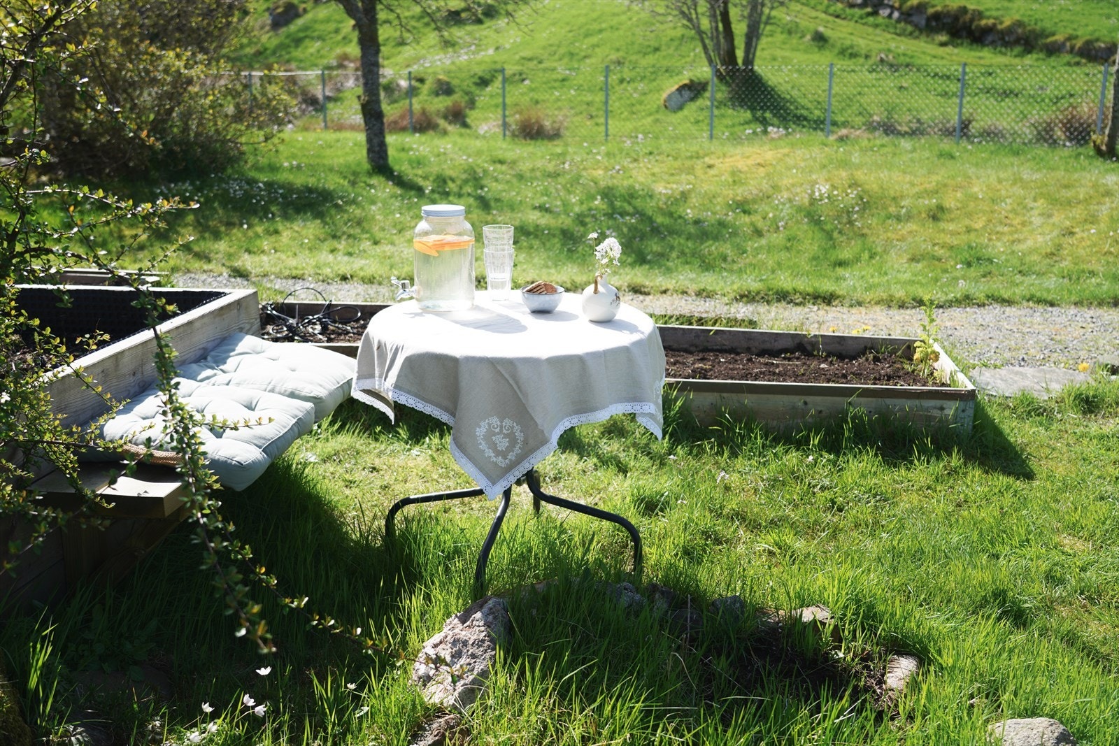 Se plantene dine vokse fra benken. Galleribilde