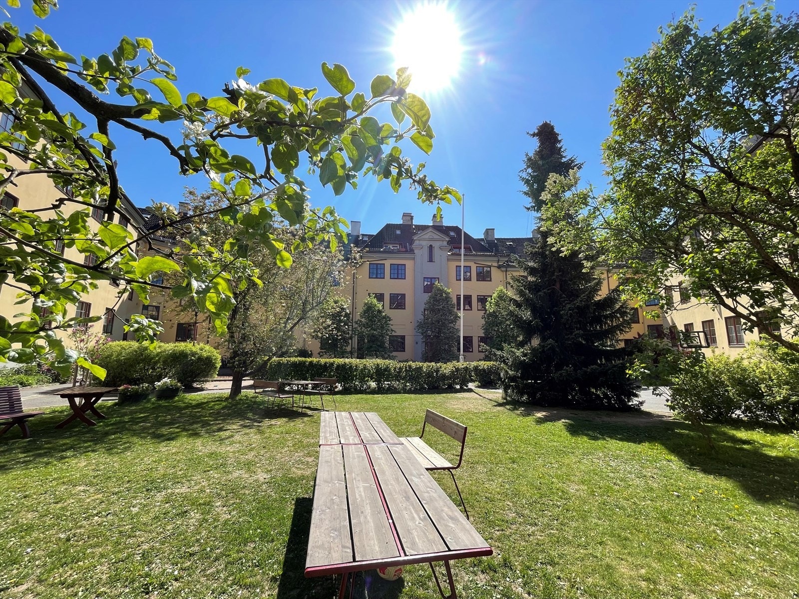 Bakgård (selgers bilde) Galleribilde