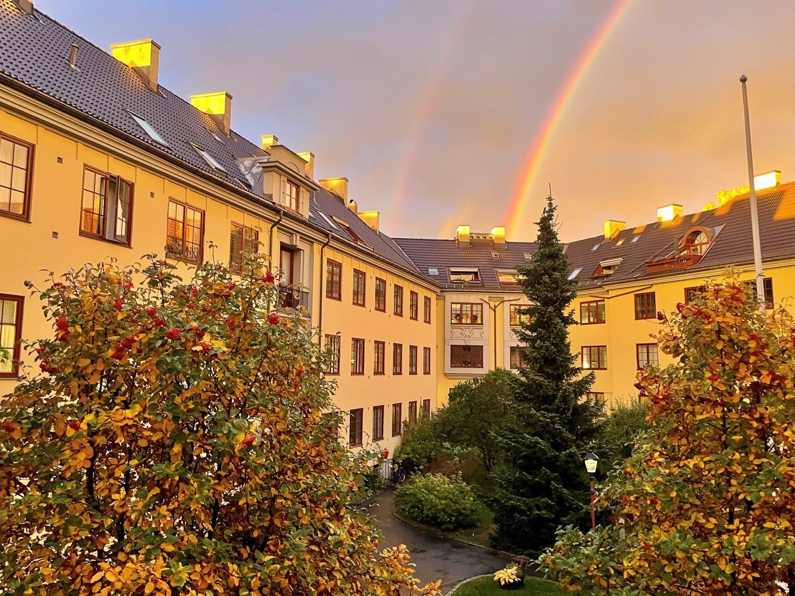 Bakgård (selgers bilde) Galleribilde