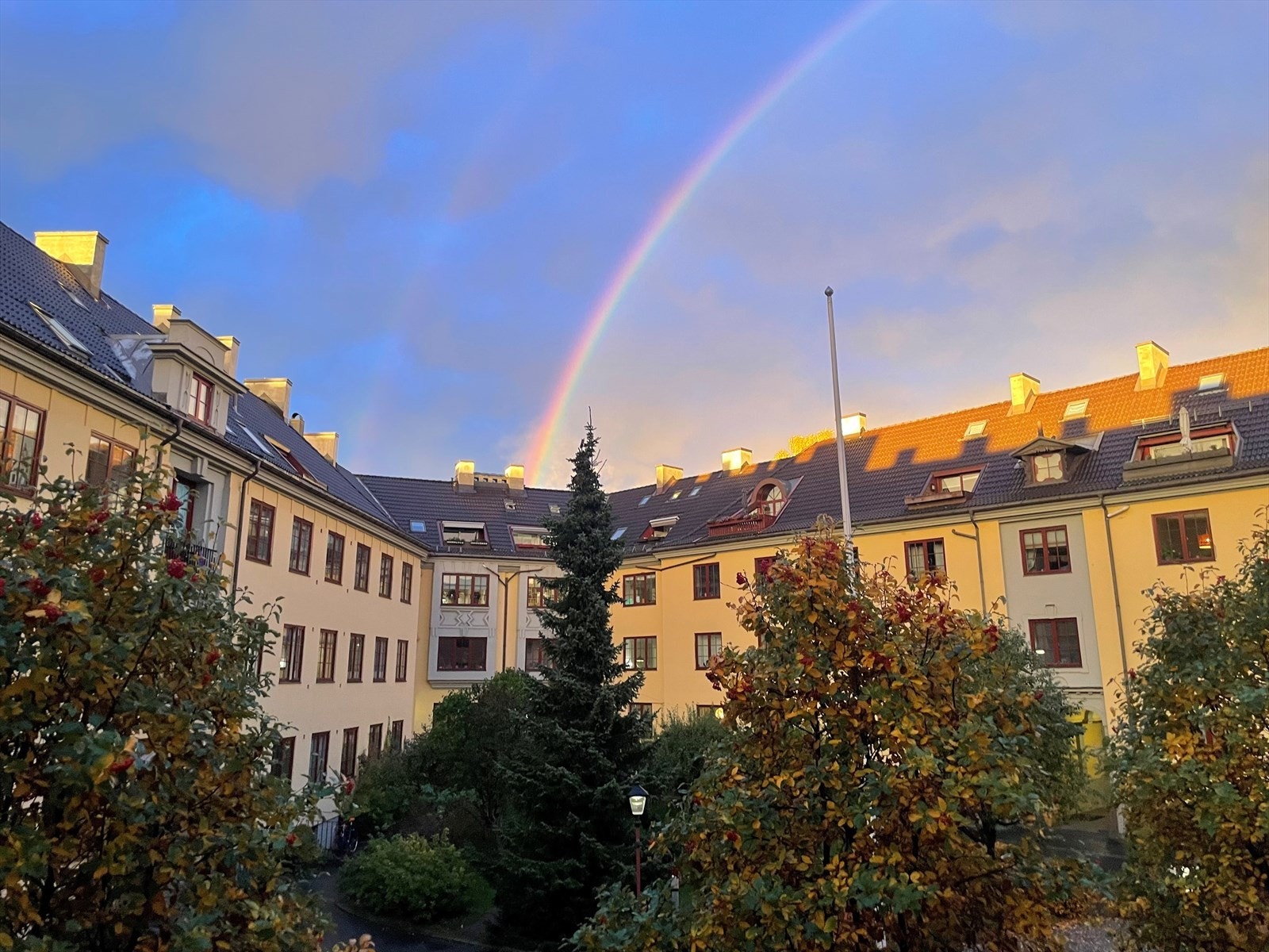 Bakgård (selgers bilde) Galleribilde