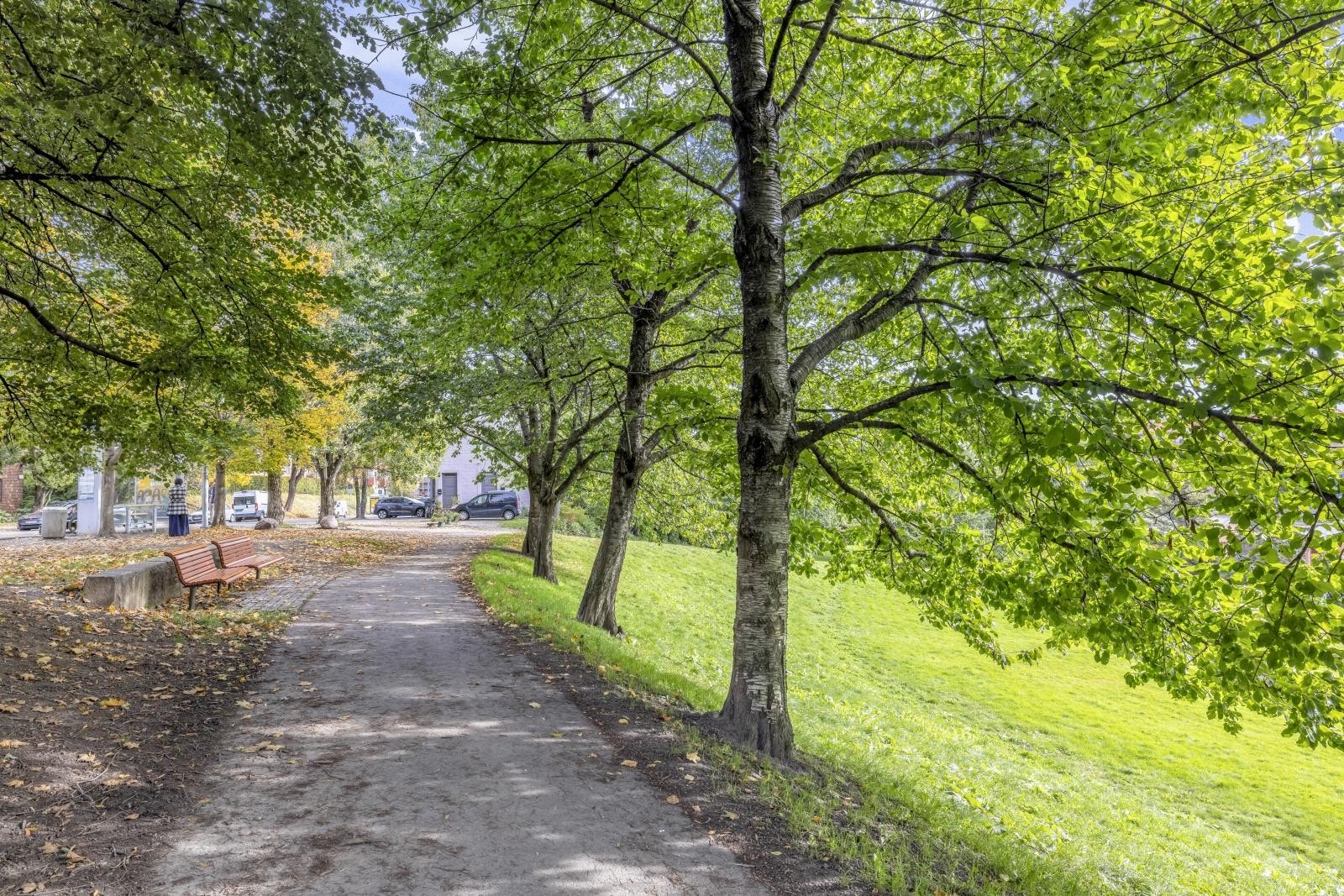 Flotte parker og turområder i nærheten Galleribilde