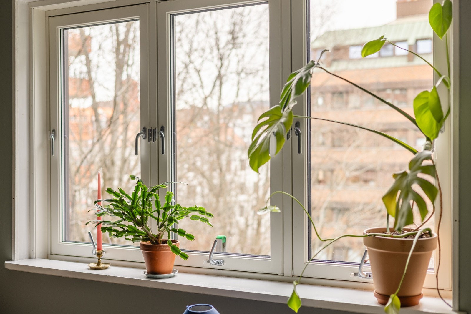 Vinduet er fra 2021. Hele leiligheten vender inn mot bakgård. Galleribilde