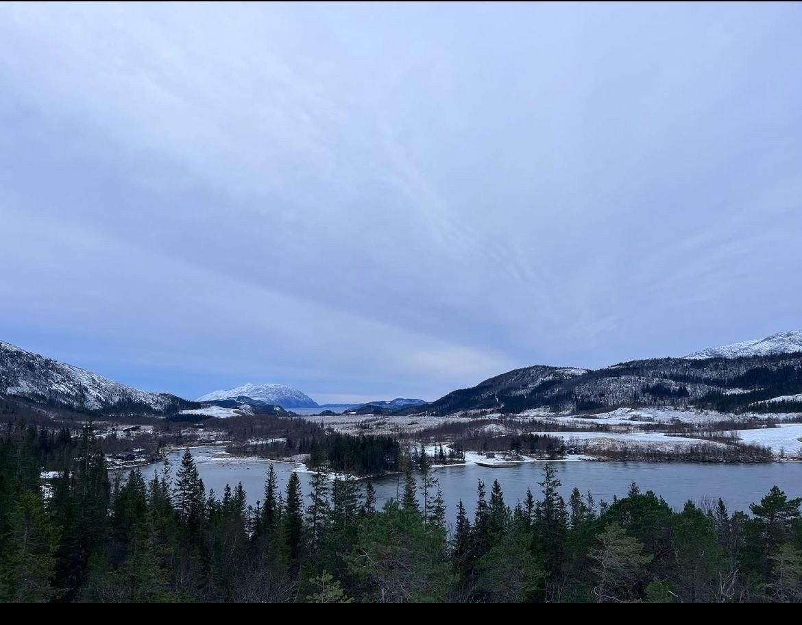 Utsikten, kort tur fra hytta Galleribilde