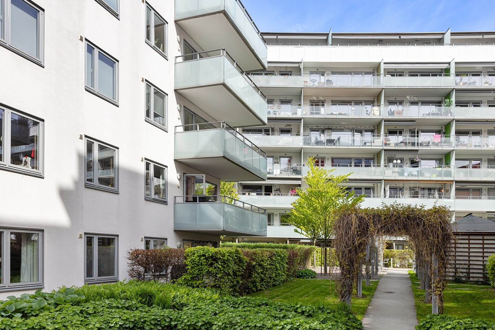 Pene fellesarealer i bakgården med opparbeidet plen, busker og diverse beplantning. Galleribilde