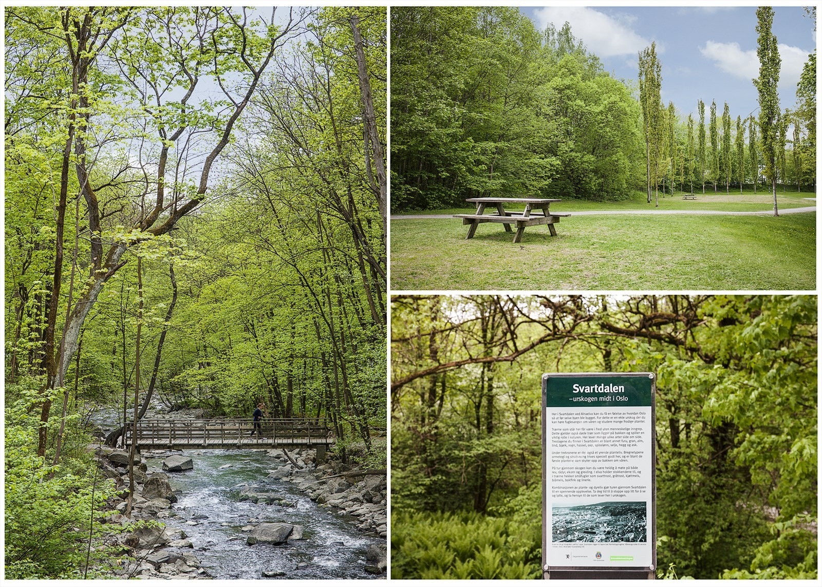 Nærområdet Galleribilde