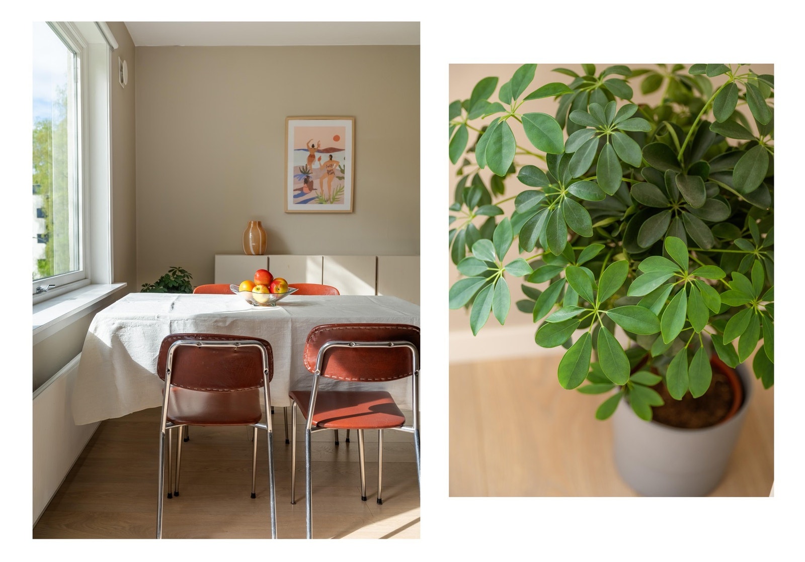 Det er bra med plass til større spisebord ved vindusrekken. Her kan du trygt invitere både venner og familie på middag. Galleribilde