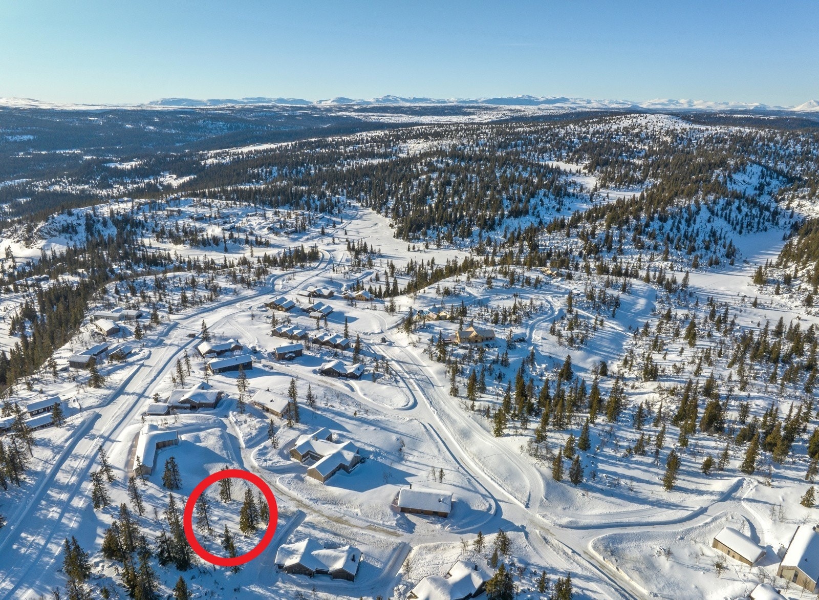 S176 markert vinter 2024 bilde 2 Galleribilde