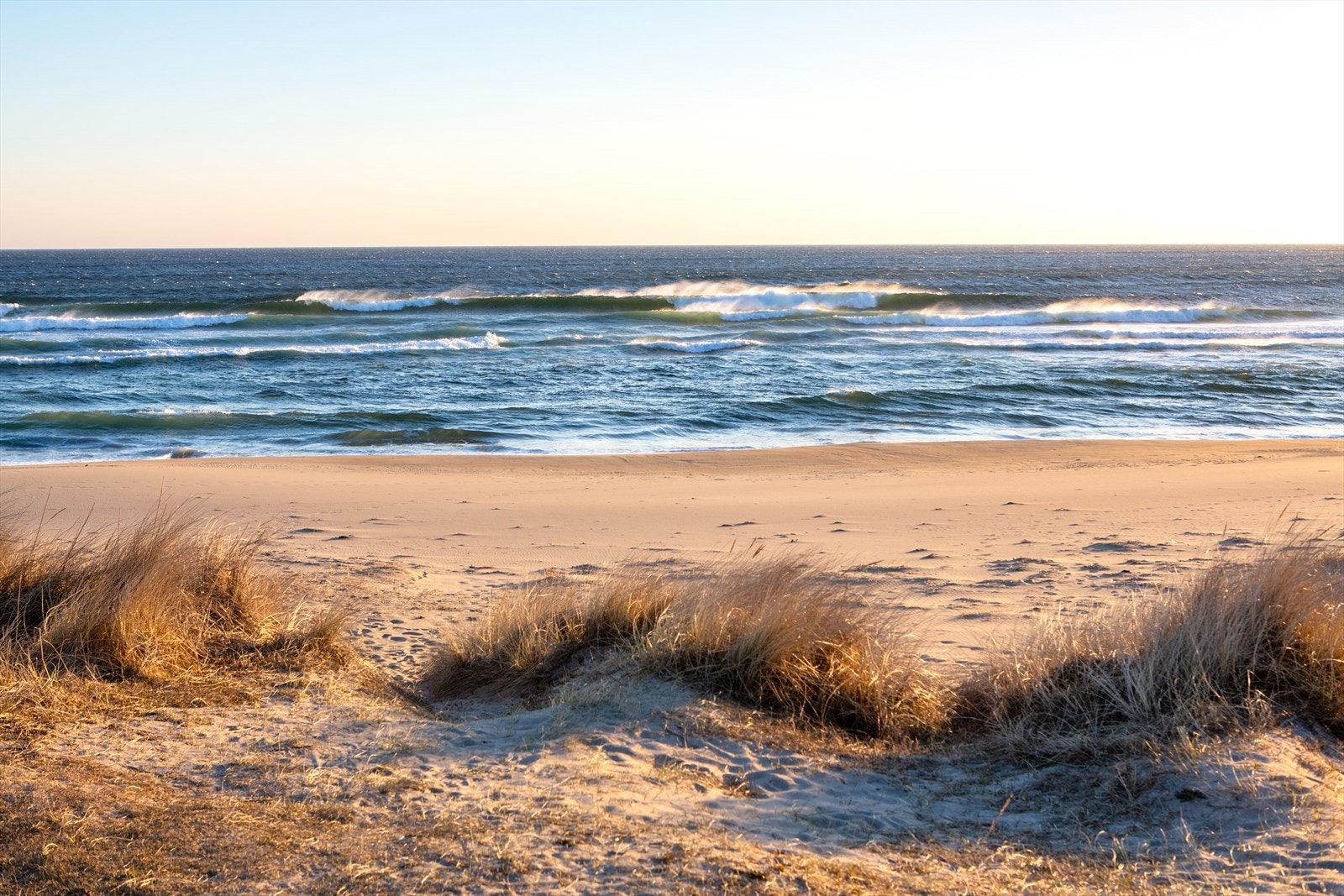 Nærområdet. Galleribilde