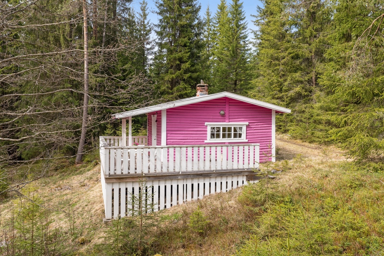 Superfine turområder og masse bær om høsten (og litt traktkantarell på egen tomt!). Hytten, med sin sjarmerende rosa farge, gir en følelse av ro og glede. Et perfekt sted å koble av fra hverdagen, lese en god bok, eller bare nyte naturens skjønnhet. Galleribilde