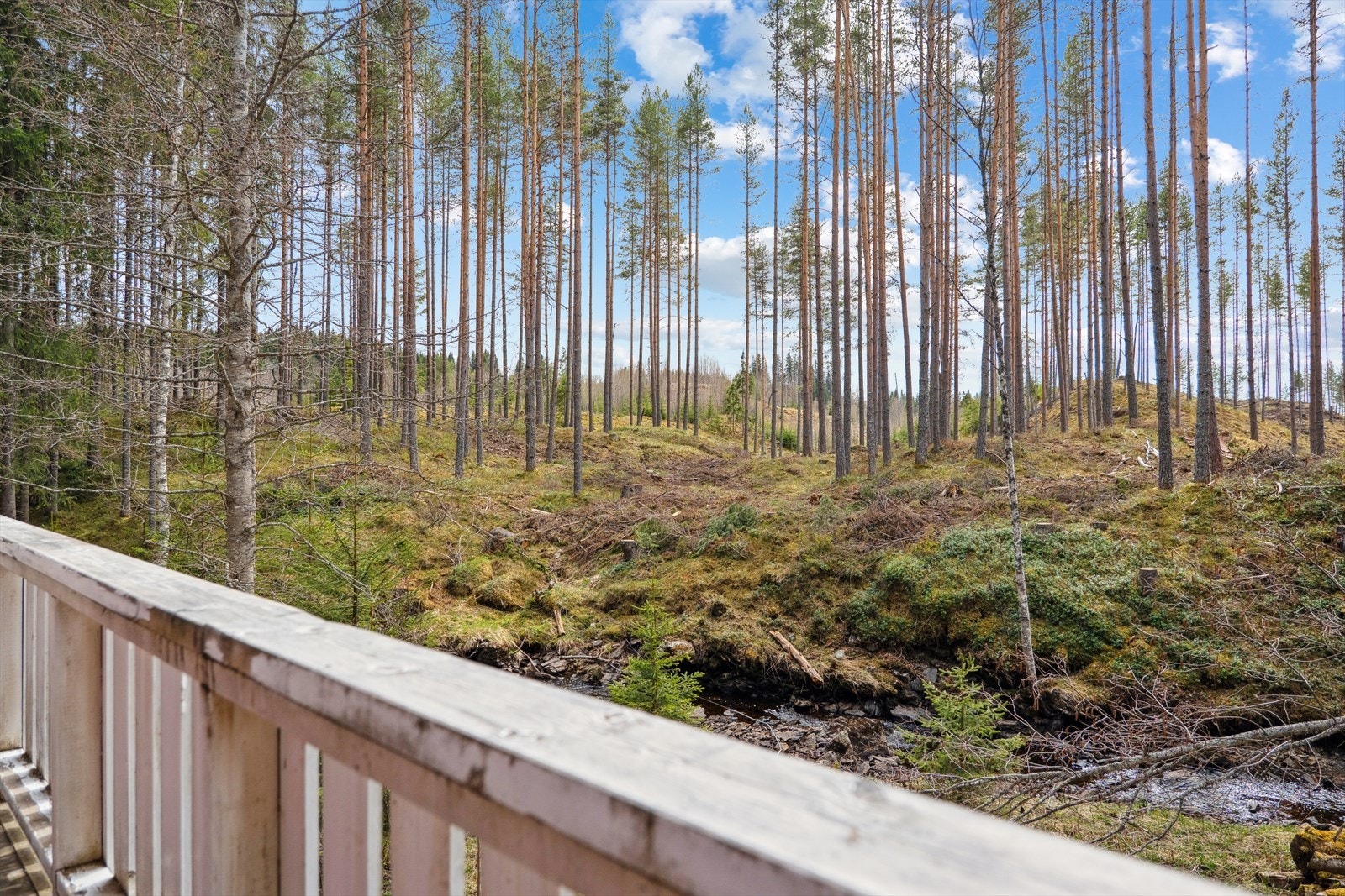 Å kunne tilbringe tid utendørs, gå på turer, plukke bær, eller bare sitte ved et bål og nyte stjernehimmelen, gir en følelse av frihet og tilknytning til naturen. Galleribilde